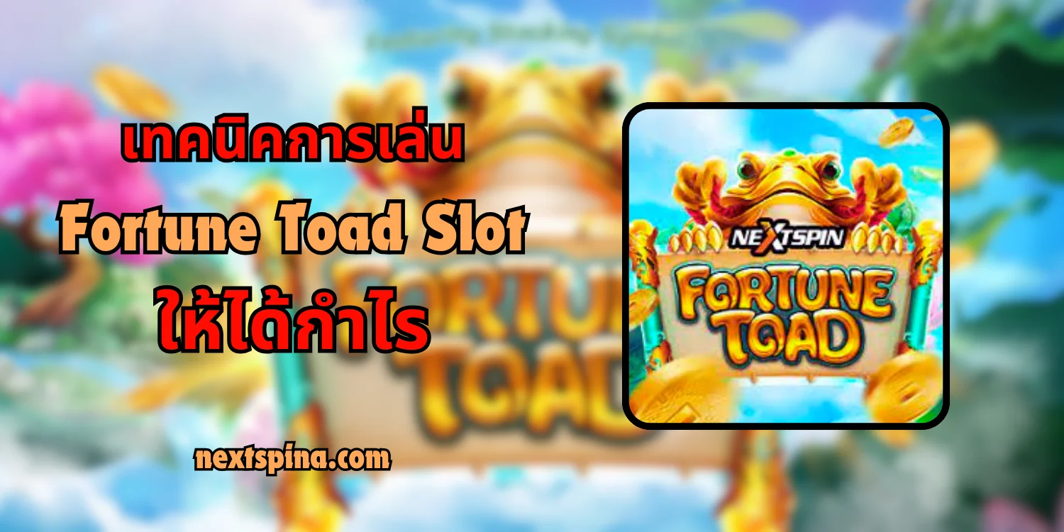 เทคนิคการเล่น Fortune Toad Slot ให้ได้กำไร